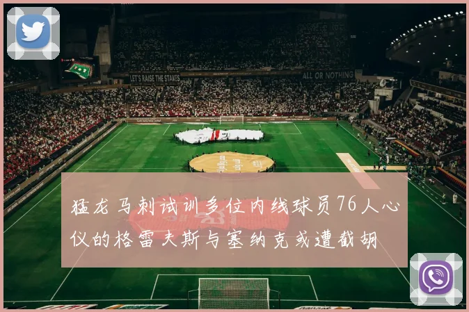 猛龙马刺试训多位内线球员76人心仪的格雷夫斯与塞纳克或遭截胡